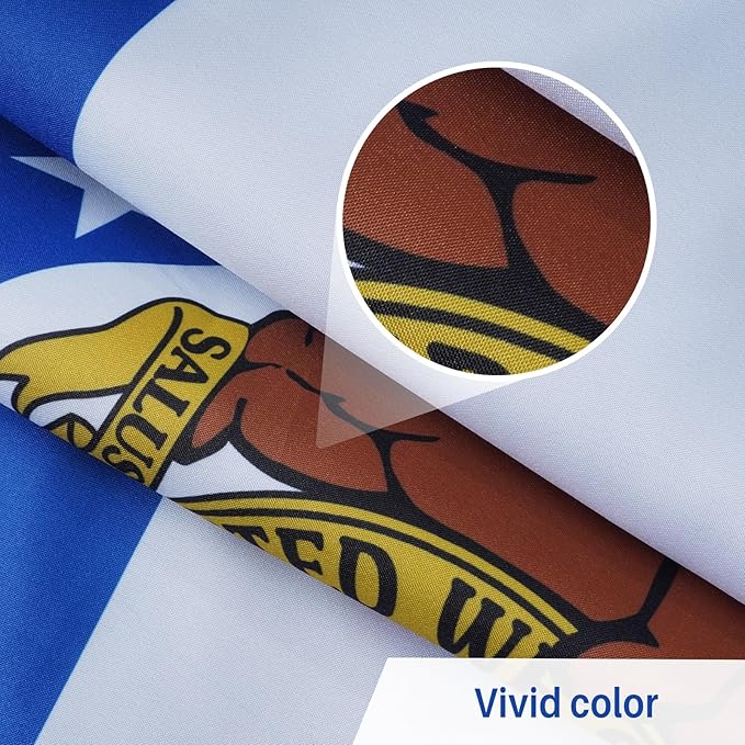 AMZFLAG Missouri Flag 3x5 Feet Outdoor 3 Ply Polyester Missouri State Flags MO Double Sided, Vivid Color Heavy Duty State of Missouri Flags with 2 Brass Grommets