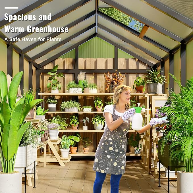 6x10 FT Greenhouse for Outdoors, Polycarbonate Greenhouse with Roof Vent, Ground Nails, Lockable Push Door, Aluminum Large Walk-in Green House for Outside Garden Backyard, Patio, Lawn, Black