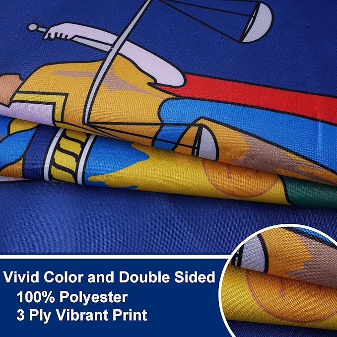 Bradford New York State Flag 3x5 feet Outdoor, 3 Ply Polyester Double Sided New York Flags Heavy Duty, NY State Flags with 2 Brass Grommets for Outsides House Long Lasting