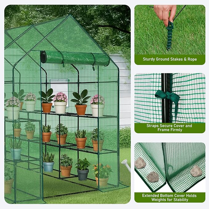 Outvita Walk-in Greenhouse, Outdoor Durable PE Plant Green House for Frost Protection with 3 Tiers 12 Shelves, Shelf Clips, Roll-up Zipper Door, 56"x85"x77" Green