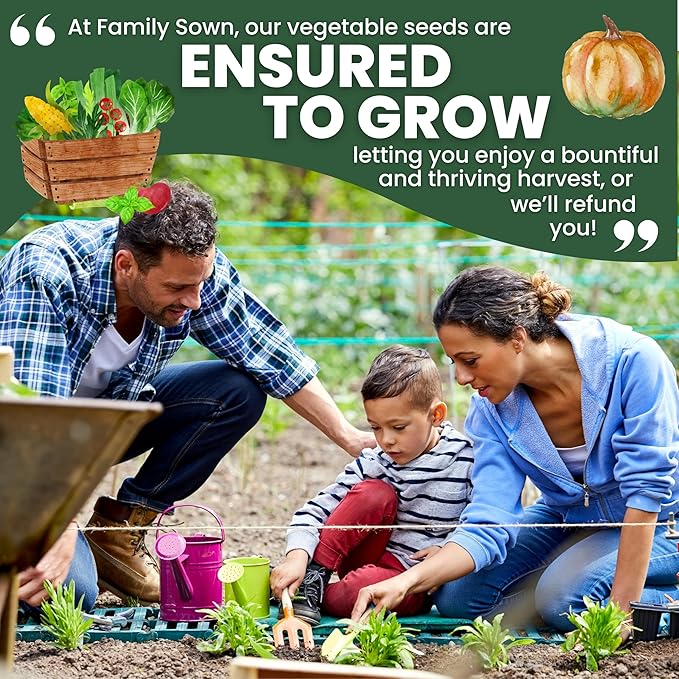 20 Vegetable Seed Packets | Survival Variety Pack | 2025 Season | Individually Packed Vegetables, Herbs and Fruits | Emergency Seed Vault for Doomsday Prepping | by Family Sown