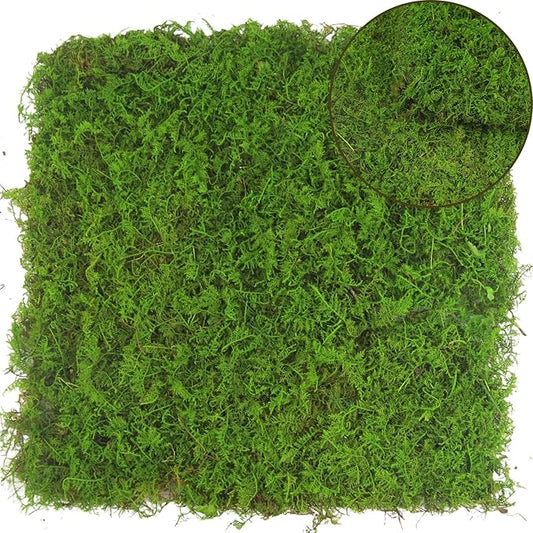 2 Pcs Preserved Sheet Moss for Potted Plants 2 sq.ft. Dried Natural Preserved Moss Mat Green Moss Sheets for Planters Crafts Woodland Decor Garden Party Decorations Wall Art DIY Project Green