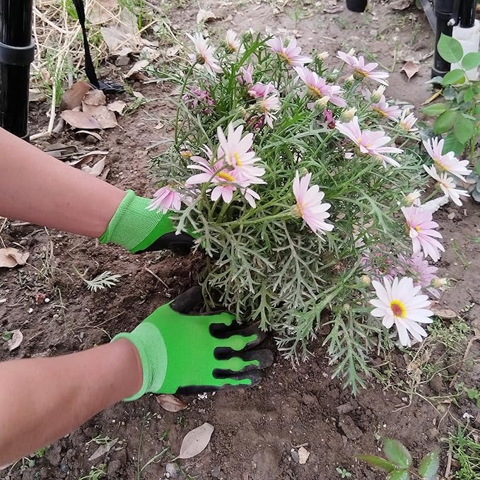 2 Pairs Medium Garden Gloves For Men Women Thorn Proof With TPE Safty Material Coated, Heavy Duty Gardening Gloves For Yard,Outdoor Work Glove With Grip For Weeding, Digging, Raking And Pruning
