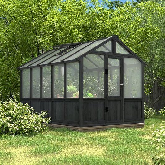 BlueWish 6x10FT Greenhouse, Greenhouse for Outdoor with Cedar Frame, Adjustable Vent, Wood Greenhouses with Polycarbonate Panel, Green House for Outside, Garden, Backyard, Black