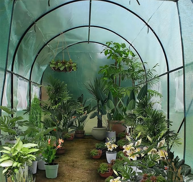 Outdoor Greenhouse with Screen Door,Outside Heavy Duty Walk in Green House for Garden Plants UV Protection Thermostatic Waterproof (Green, 10x10x7 FT)