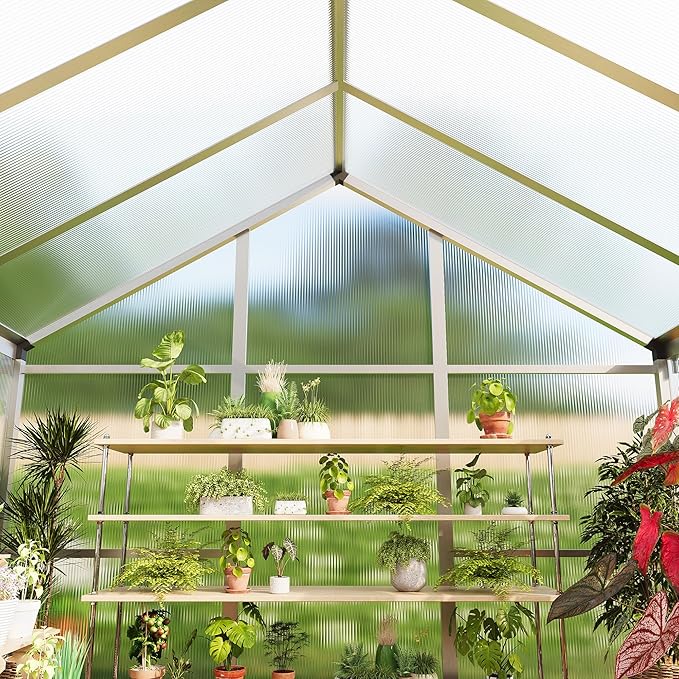 8x10 FT Greenhouse for Outdoors, Polycarbonate Flower Greenhouse with Roof Vent, Push-Pull Lockable Door, Aluminum Walk-in Greenhouses for Outside Garden Backyard, Patio, Lawn, Silver