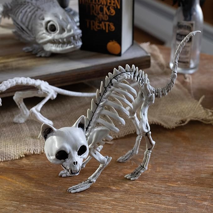 SCS Direct Kitten Skeleton Halloween Decoration (3 Pack)-7.5" Long-Weather Resistant - Upgrade Your Fall Graveyard Haunted House Party Props, Trick-or-Treat Decor, School Classroom